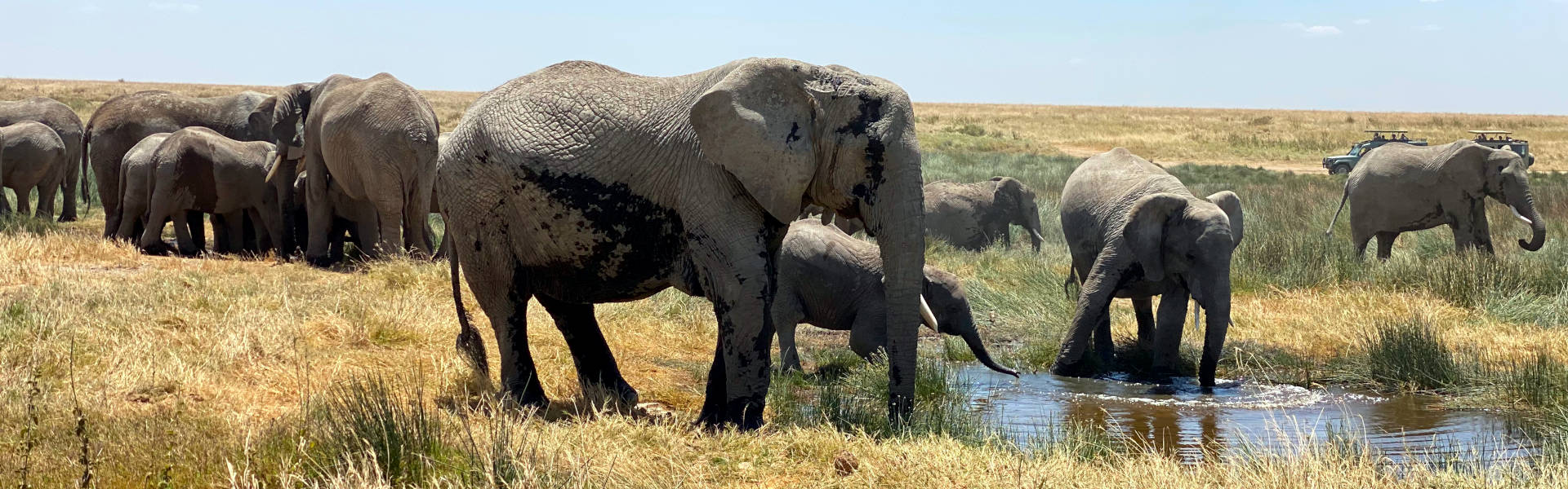Tarangire National Park