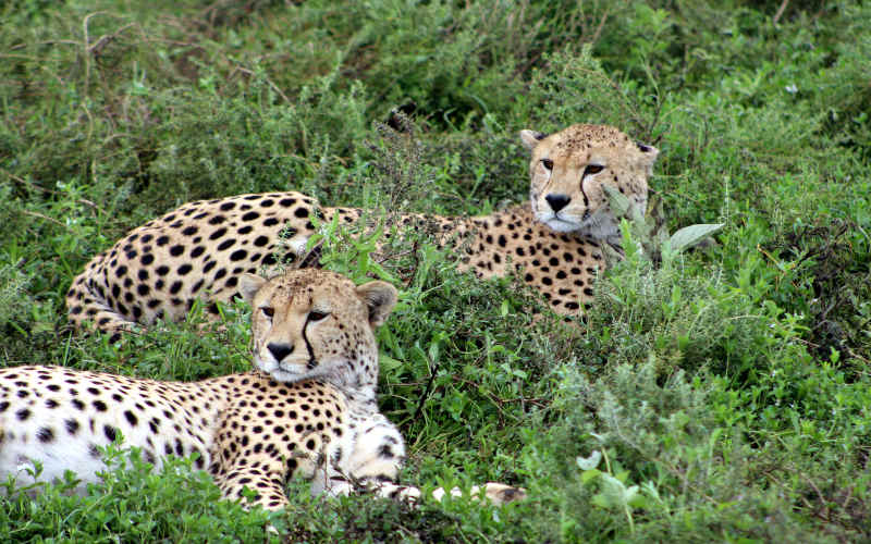 Serengeti National Park