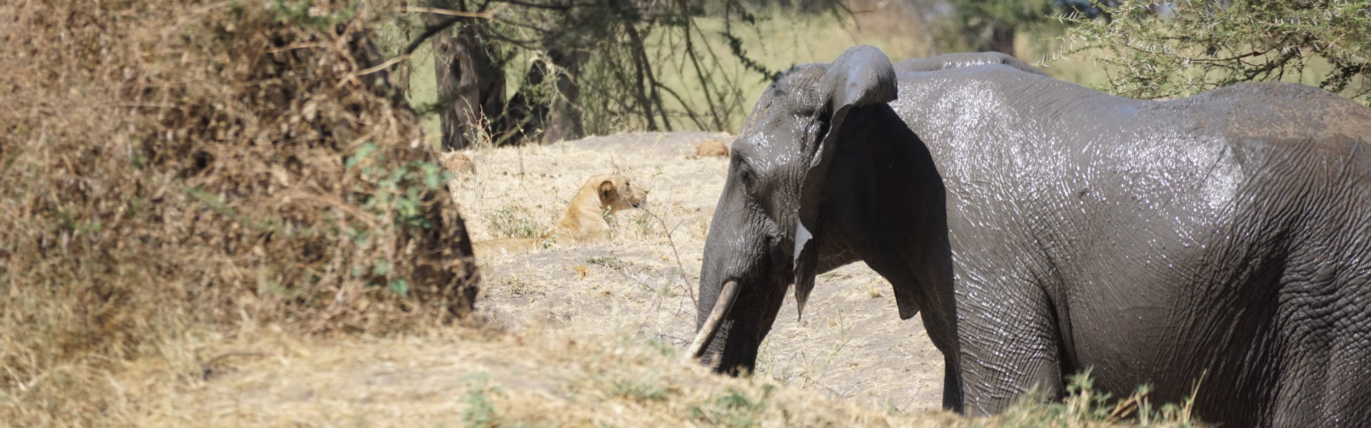 Lake Manyara National Park
