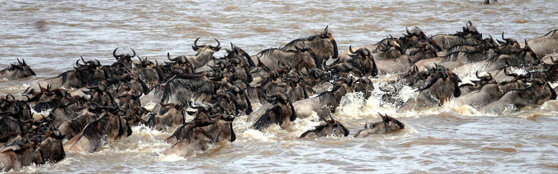 Serengeti National Park