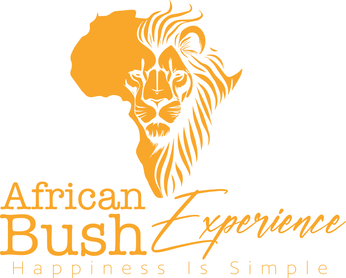 African Bush Experience