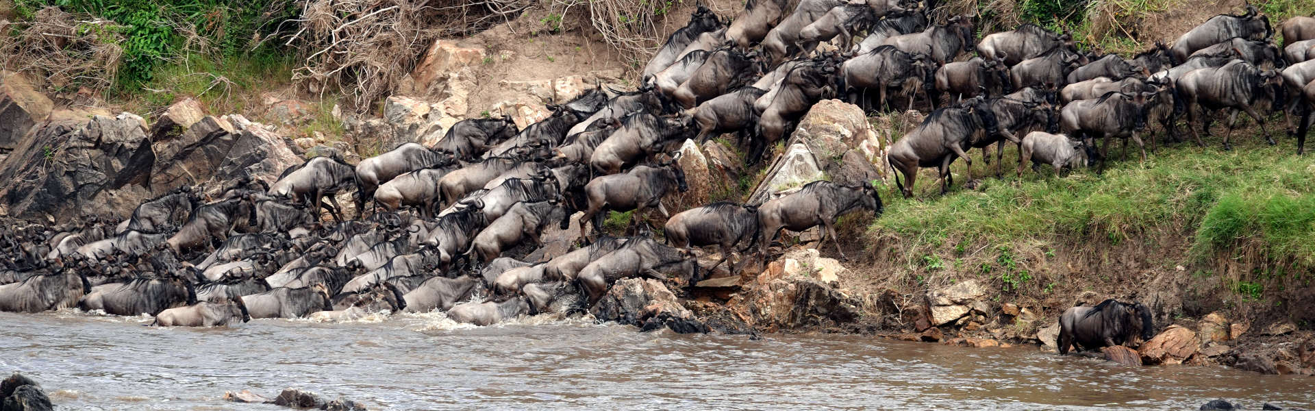 10 Days Great Serengeti Wildebeest Migration Safari