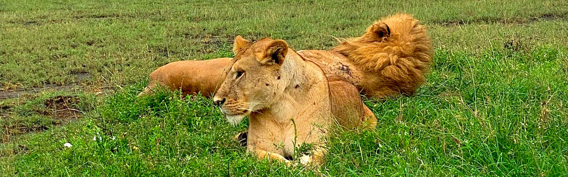 8 Days Tanzania Safari