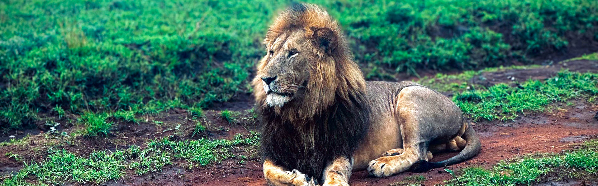 6 Days Northern Safari